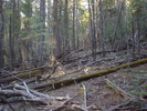 photo thumbnail #5