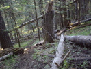 photo thumbnail #8