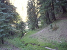 photo thumbnail #10