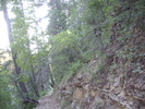 photo thumbnail #11