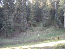 photo thumbnail #15
