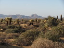 photo thumbnail #3