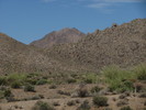 photo thumbnail #7