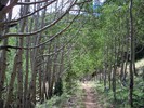 photo thumbnail #7