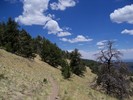 photo thumbnail #8