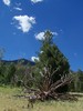 photo thumbnail #11