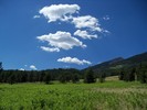 photo thumbnail #12