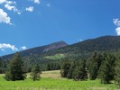 photo thumbnail #13