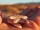 photo thumbnail #5