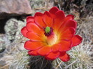 photo thumbnail #4