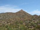 photo thumbnail #8