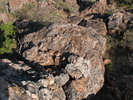 photo thumbnail #11