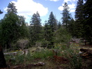 photo thumbnail #1