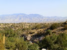 photo thumbnail #1