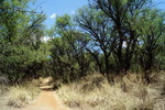 photo thumbnail #13