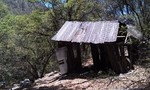 photo thumbnail #4