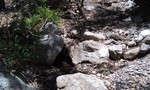 photo thumbnail #6