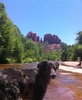 photo thumbnail #1