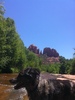 photo thumbnail #3