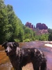 photo thumbnail #4