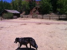 photo thumbnail #5