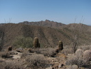 photo thumbnail #1