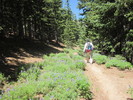 photo thumbnail #10
