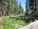 photo thumbnail #11