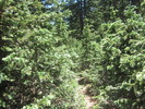 photo thumbnail #12