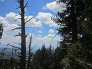 photo thumbnail #14