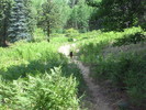 photo thumbnail #1