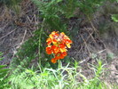 photo thumbnail #2