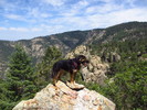photo thumbnail #4