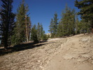 photo thumbnail #11
