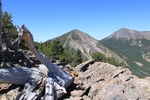 photo thumbnail #5