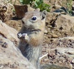 photo thumbnail #7