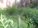 photo thumbnail #3