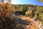 photo thumbnail #4