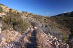 photo thumbnail #15