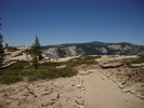 photo thumbnail #3