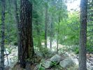 photo thumbnail #14