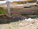 photo thumbnail #10