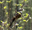 photo thumbnail #15