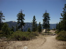 photo thumbnail #15