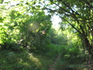 photo thumbnail #3