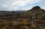 photo thumbnail #5