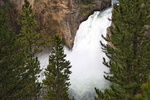 photo thumbnail #12