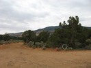 photo thumbnail #1