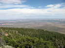 photo thumbnail #8