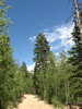 photo thumbnail #11